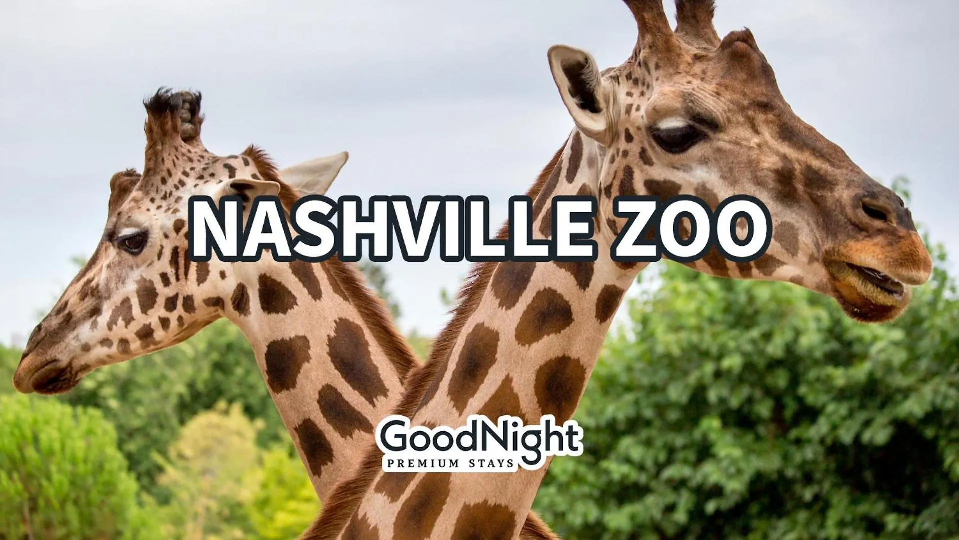 Enchant - Stunning City Views - Modern Luxe Nashville ABD
